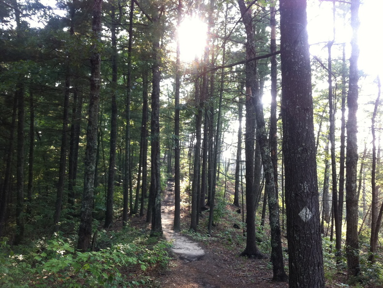 Sheltowee Trace, Red River Gorge